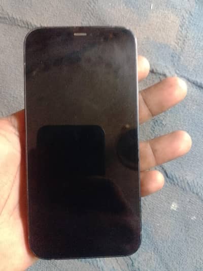 Apple iPhone 12