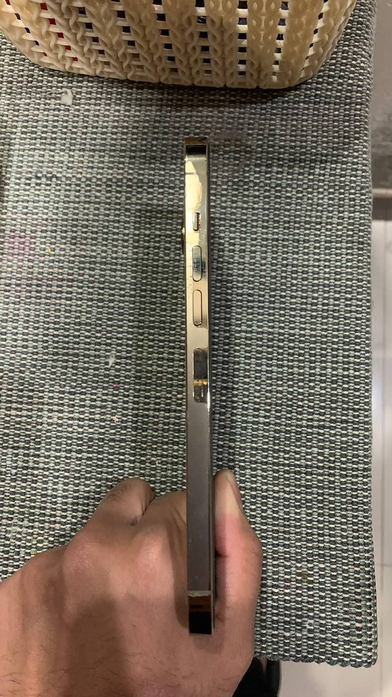 Apple iPhone 13 Pro Max 1
