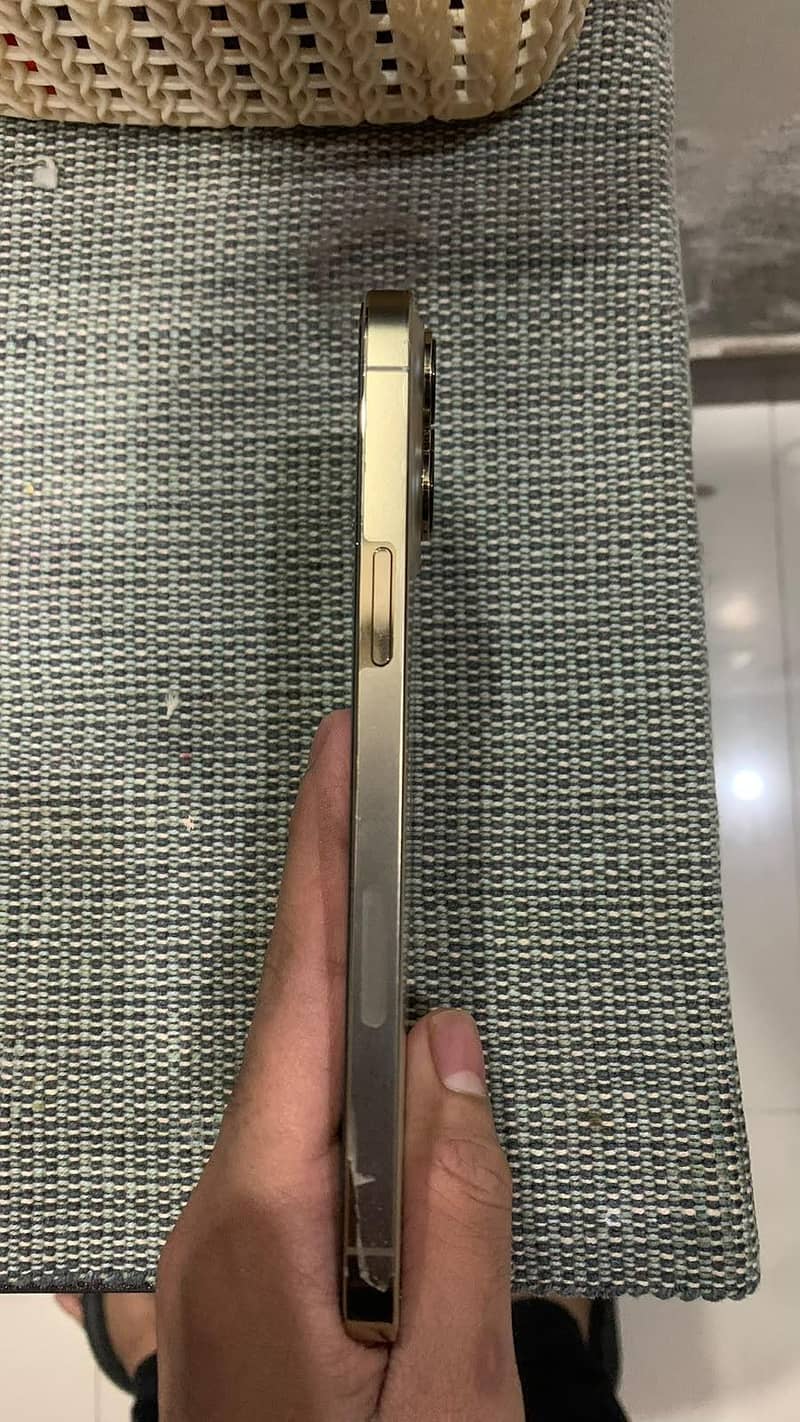 Apple iPhone 13 Pro Max 2