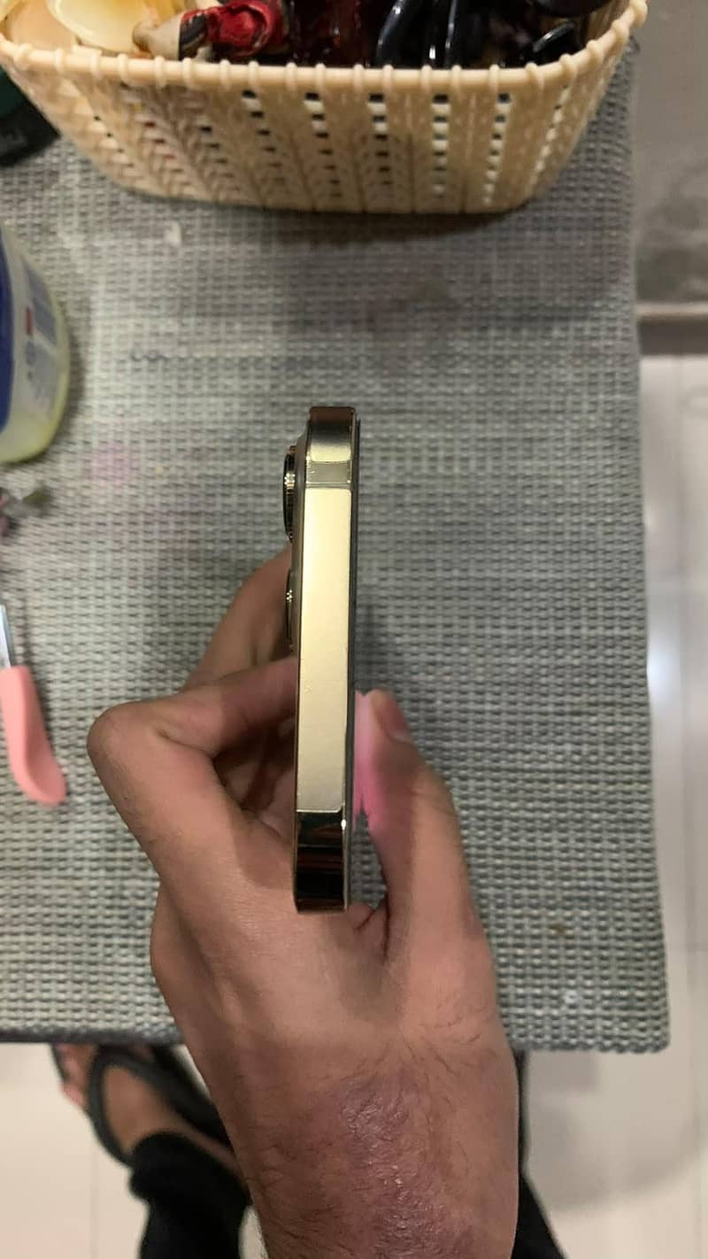 Apple iPhone 13 Pro Max 3