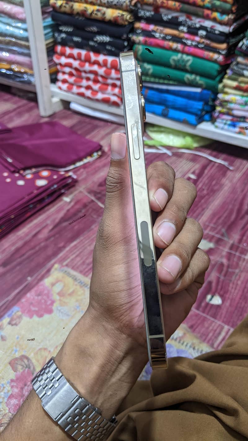 12 pro max PTA 2