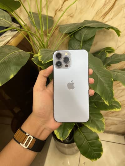 Apple iPhone 13 Pro Max