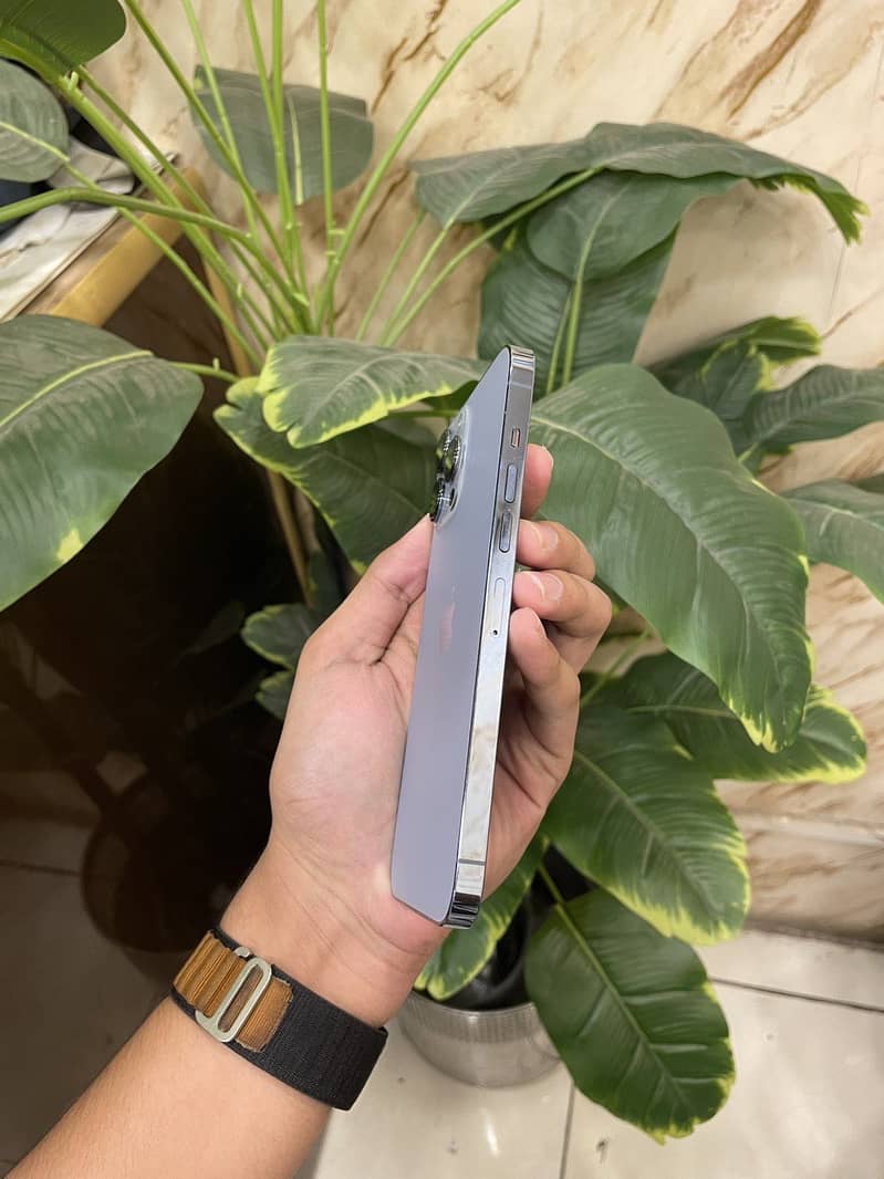 Apple iPhone 13 Pro Max 1