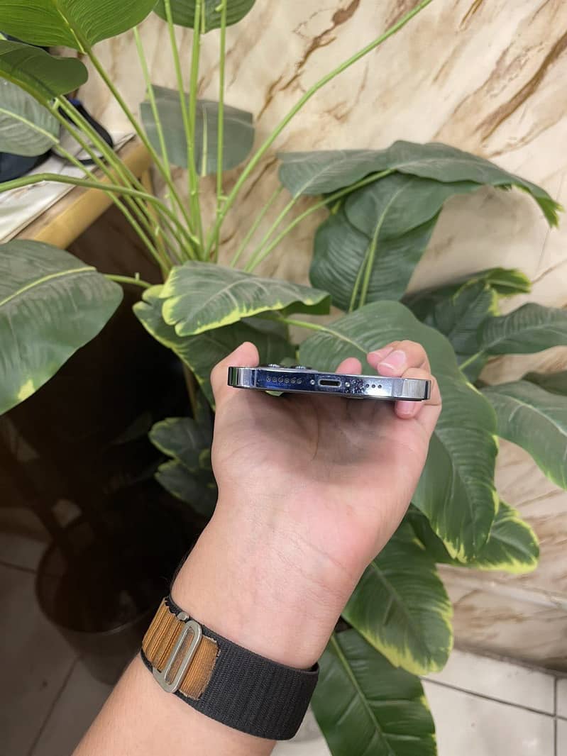 Apple iPhone 13 Pro Max 2