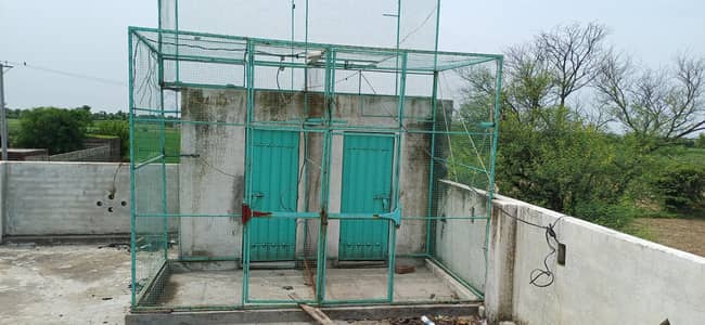 jhaal hai 8/8size