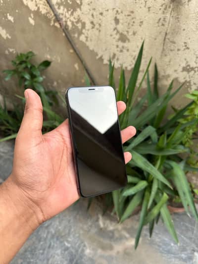Apple iPhone X