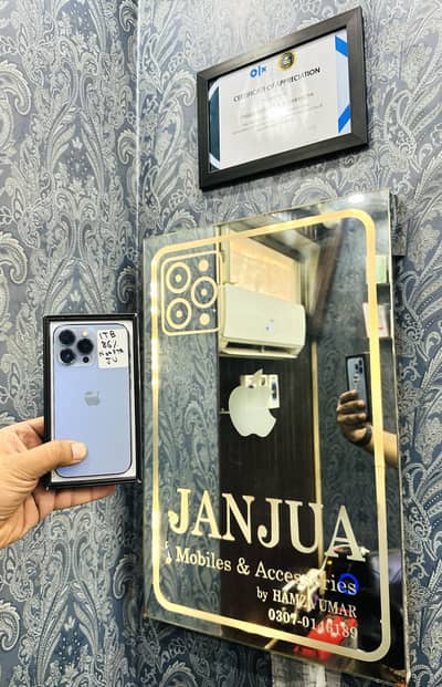 iPhone 13 Pro 1 TB (1024GB)