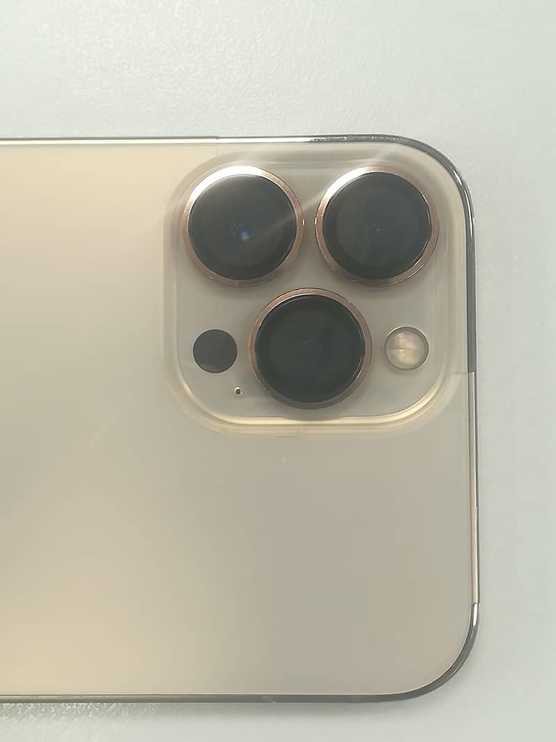 13 Pro Max 2