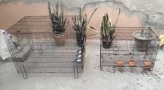 2 Big Iron Cages