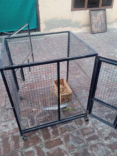 Iron cage/hen cage/birdcage/