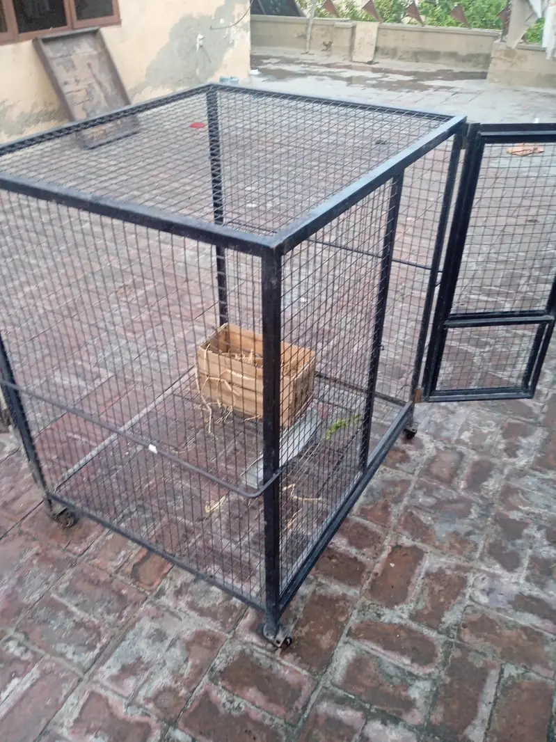 Iron cage/hen cage/birdcage/ — photo 2