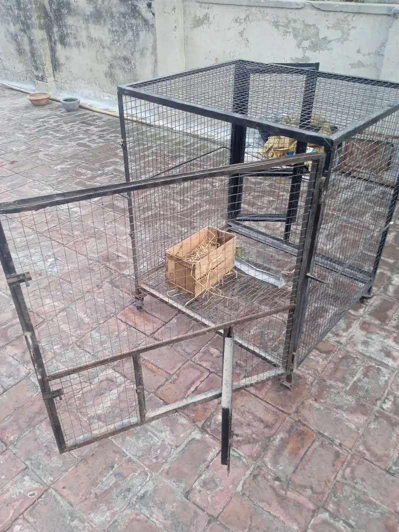 Iron cage/hen cage/birdcage/ — photo 3