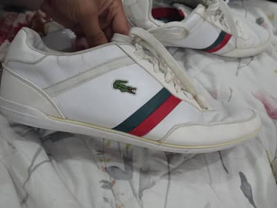 lacoste originals