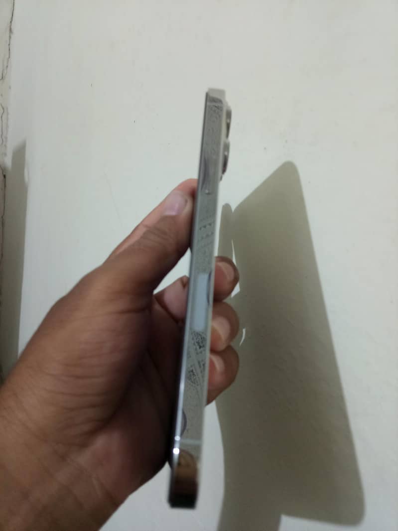 Apple iPhone 13 Pro Max 1