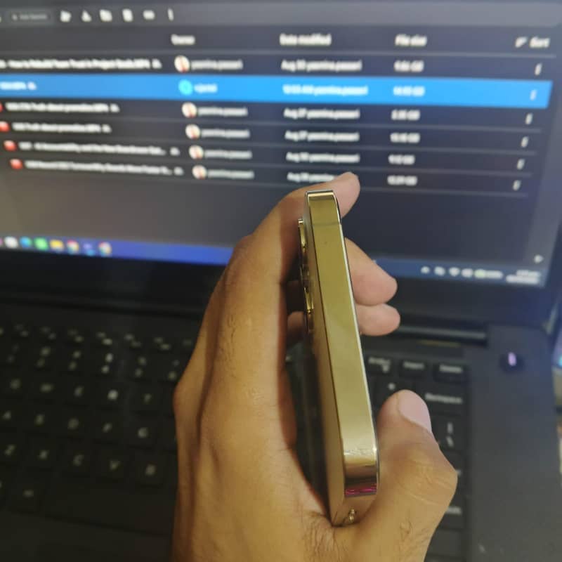 Apple iPhone 12 Pro Max 6