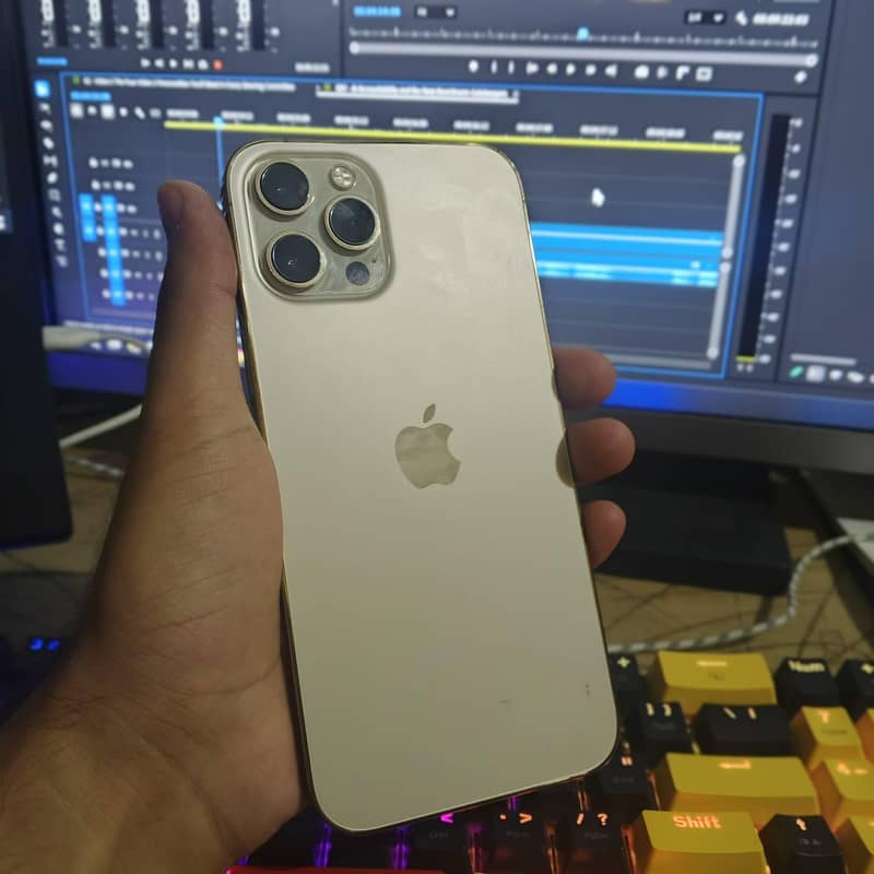 Apple iPhone 12 Pro Max 13