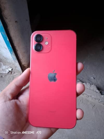 iphone 12 jv 256gb new condition water pack 100/: