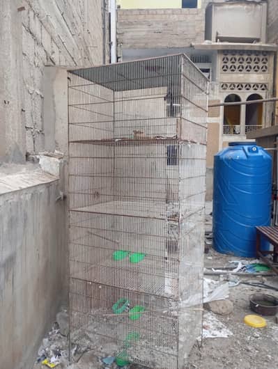 parrots cage