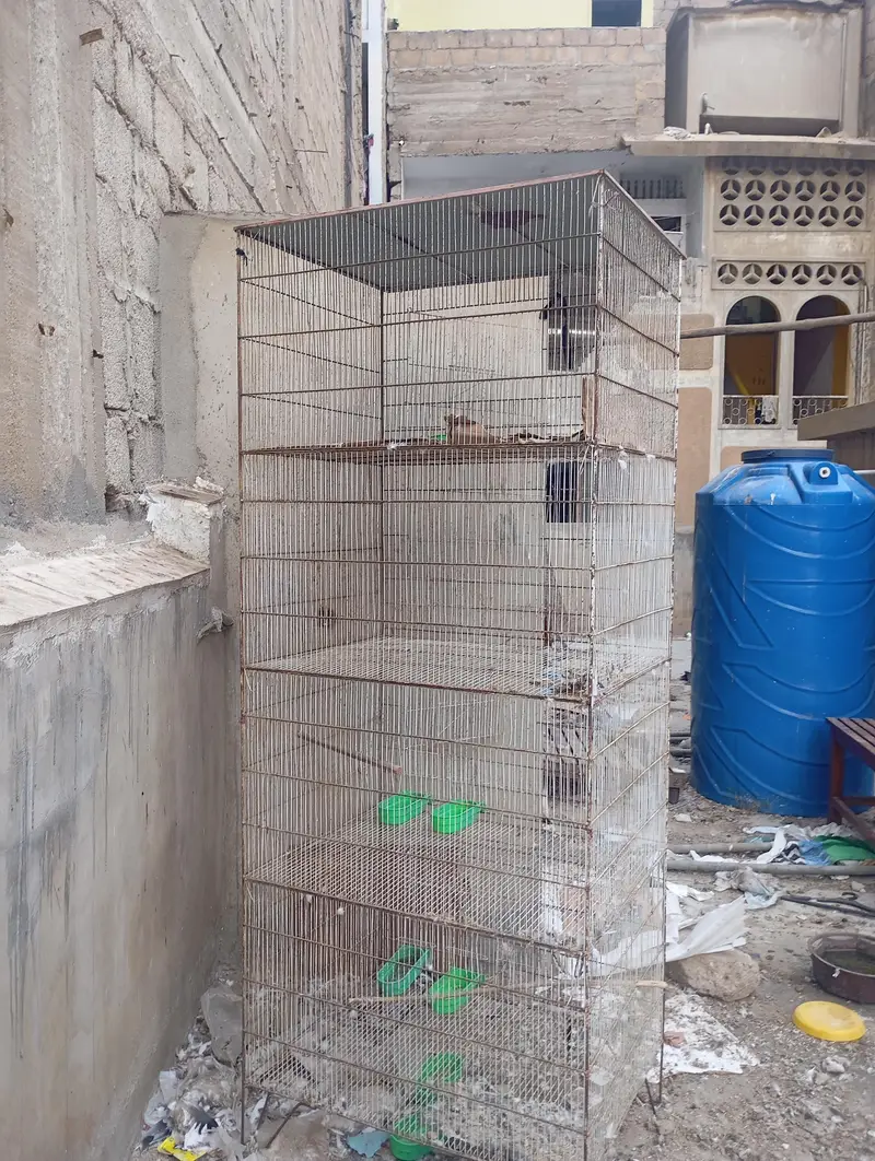 parrots cage — photo 2