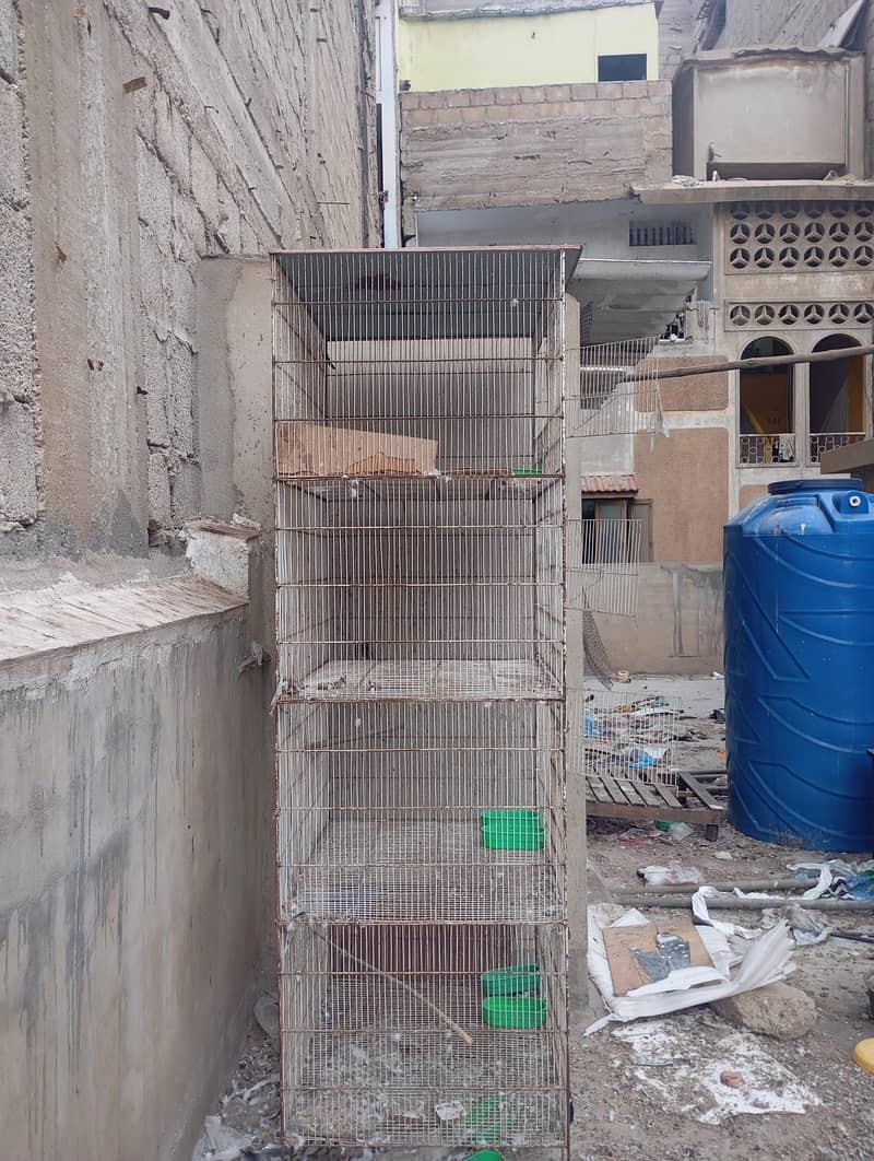 parrots cage 2