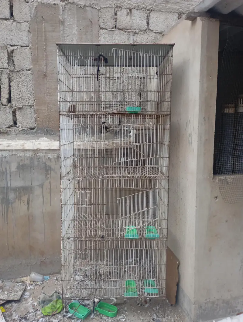 parrots cage — photo 4