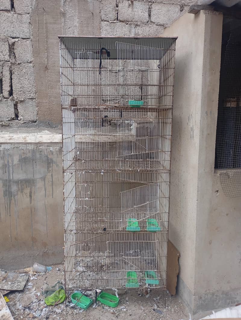 parrots cage 4