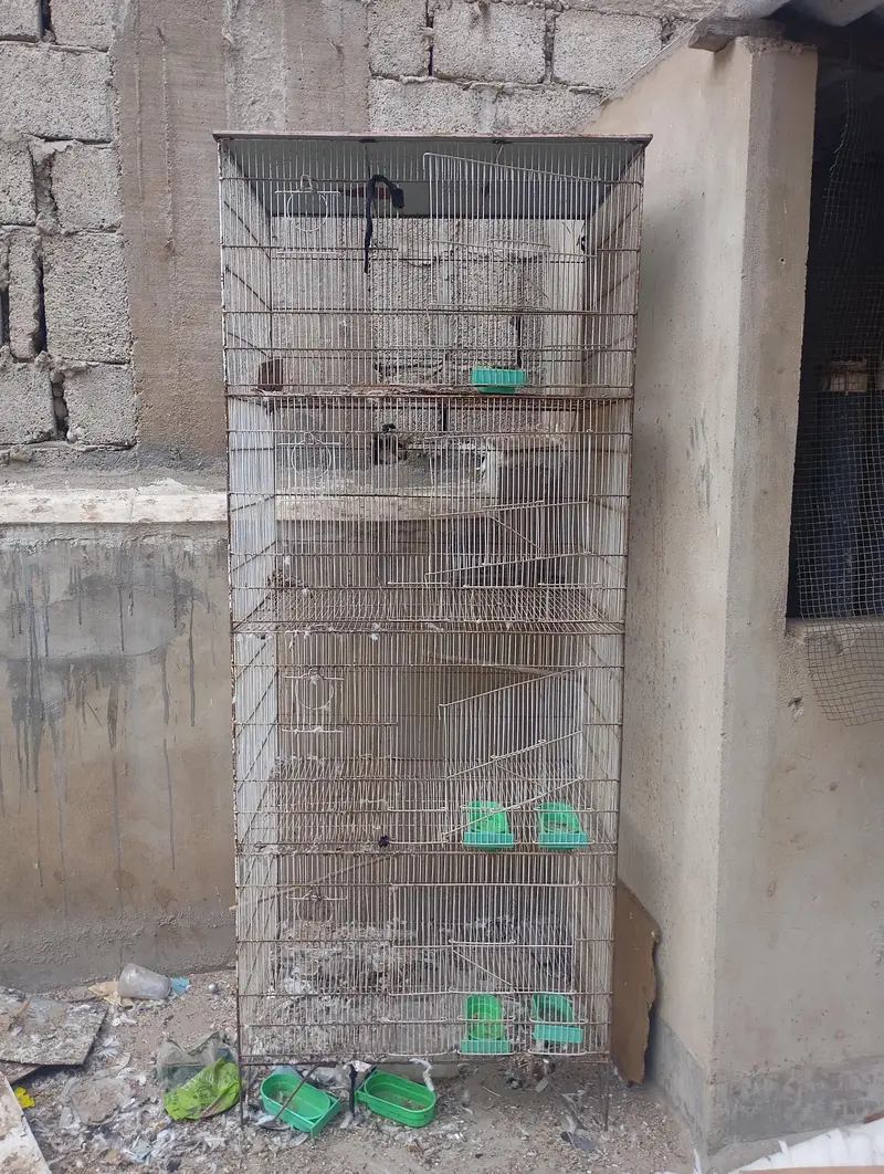 parrots cage — photo 5