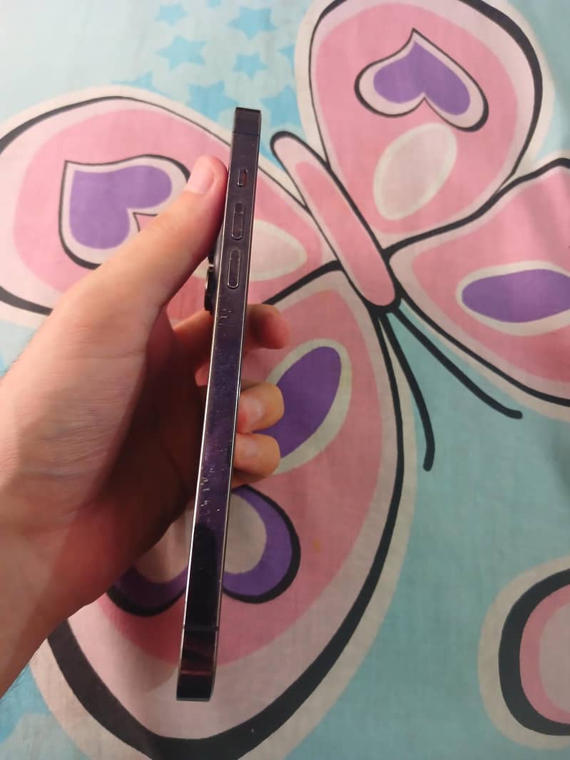Apple iPhone 14 Pro Max 4