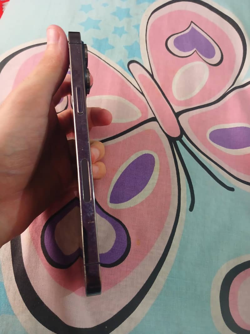 Apple iPhone 14 Pro Max 3