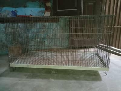Parrot cage & cats cage