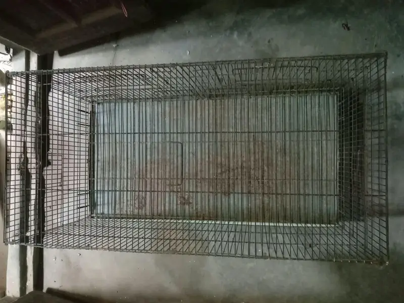 Parrot cage & cats cage — photo 2