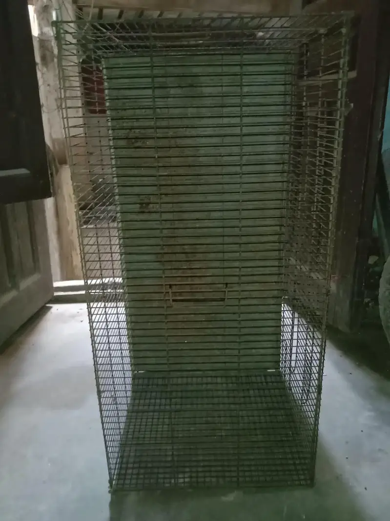 Parrot cage & cats cage — photo 3