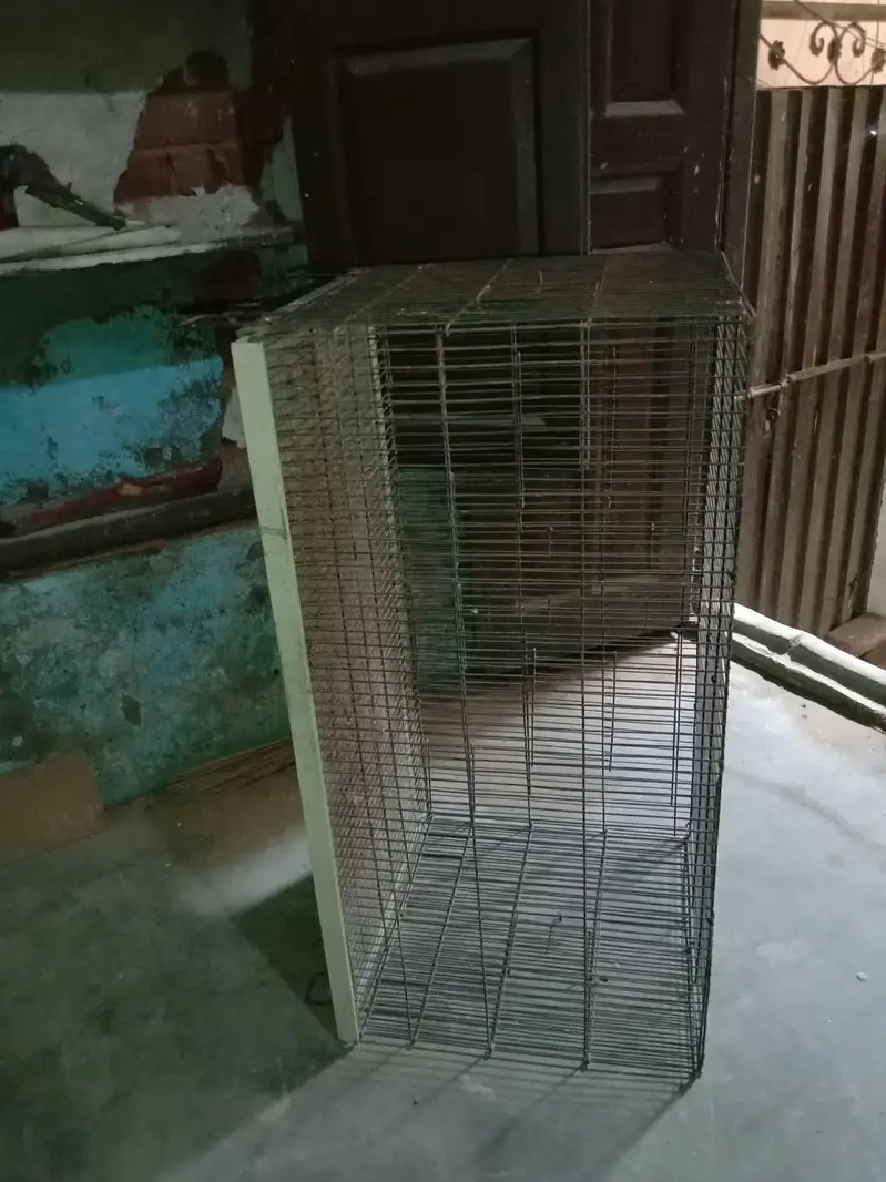 Parrot cage & cats cage — photo 4