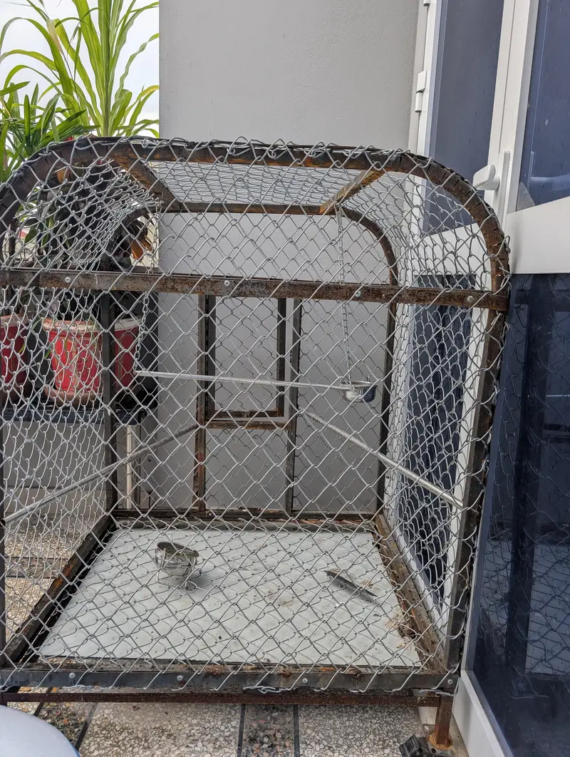 parrots cage — photo 2