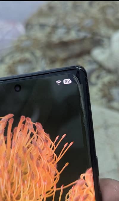 Google Pixel 6 Pro