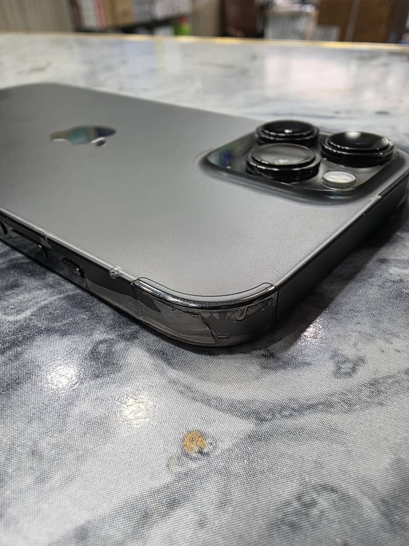 Apple iPhone 13 Pro Max 1