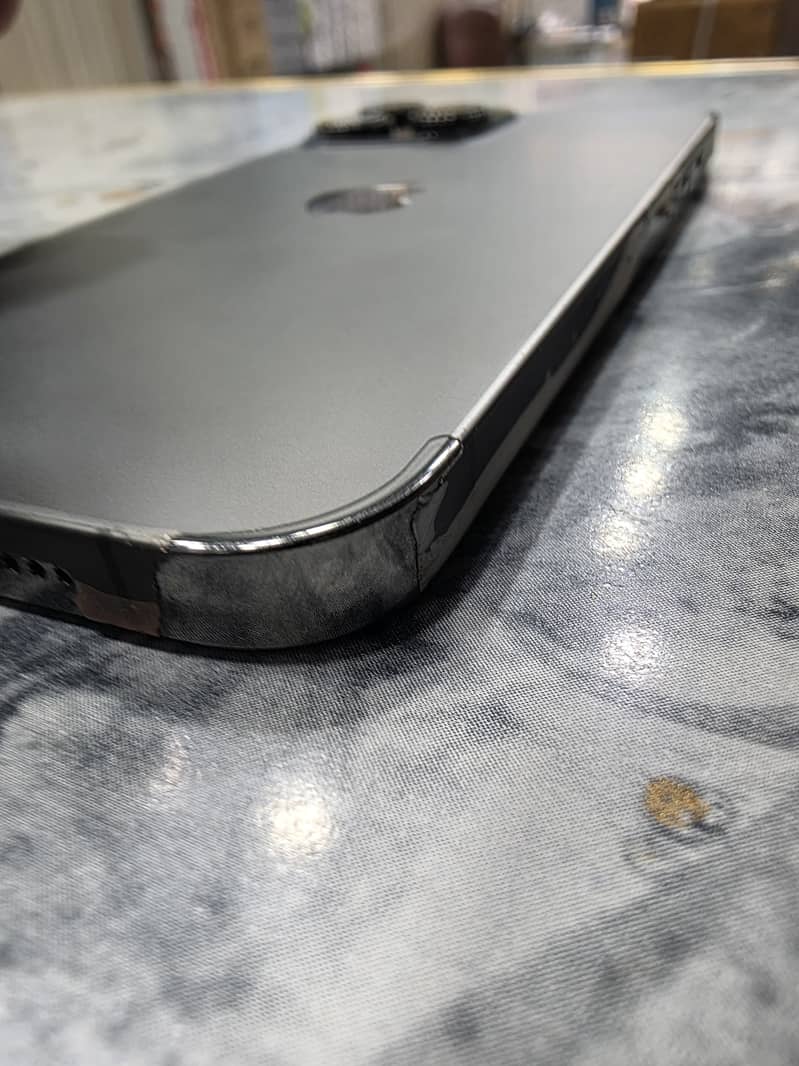 Apple iPhone 13 Pro Max 2
