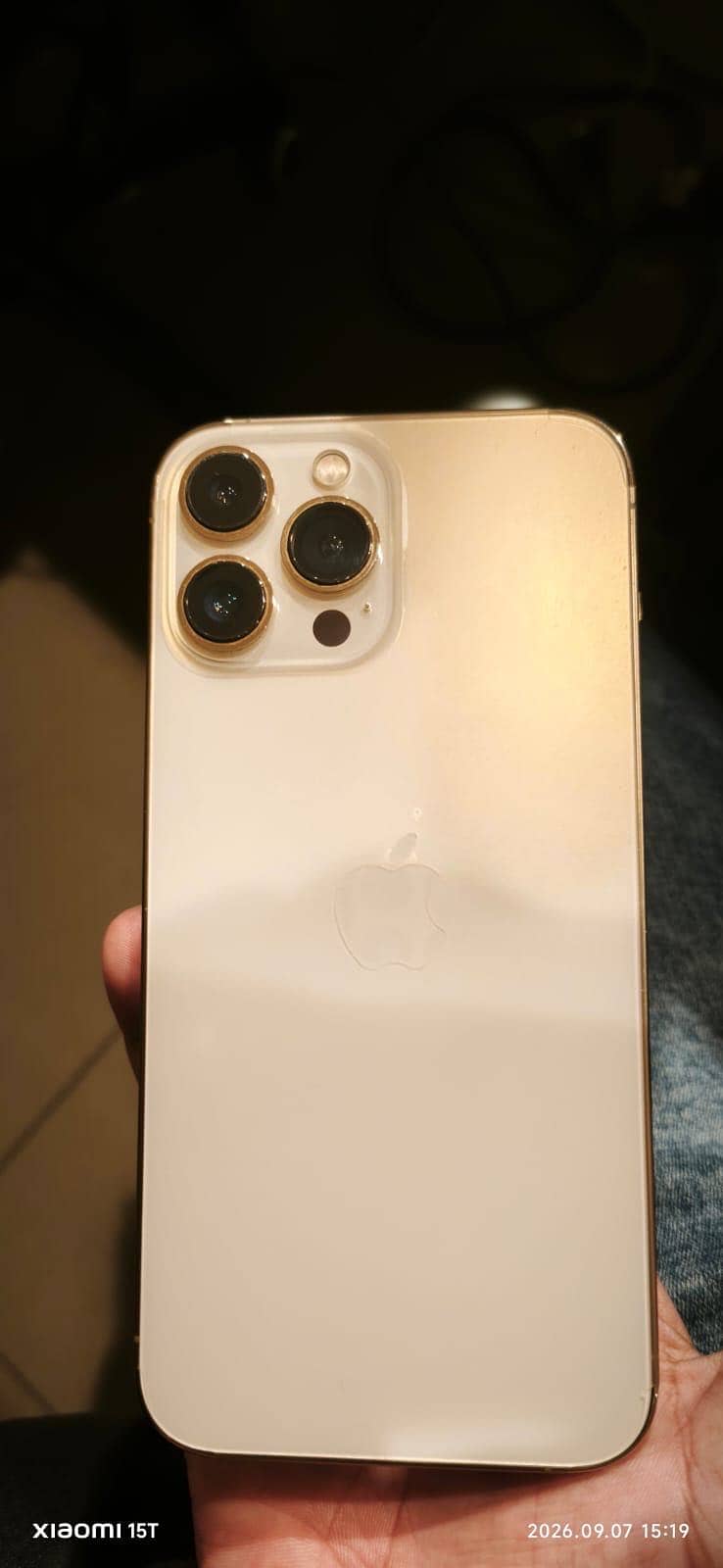 Apple iPhone 13 Pro Max 1