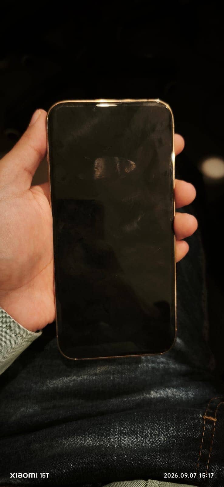 Apple iPhone 13 Pro Max 2