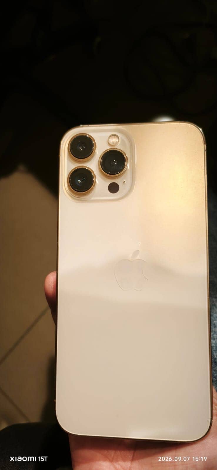 Apple iPhone 13 Pro Max 7