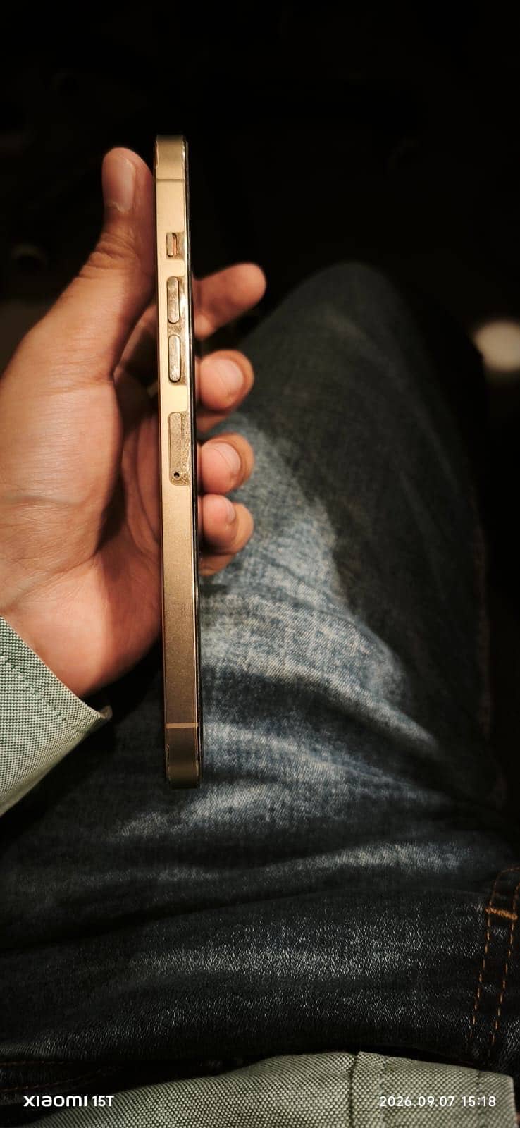 Apple iPhone 13 Pro Max 9