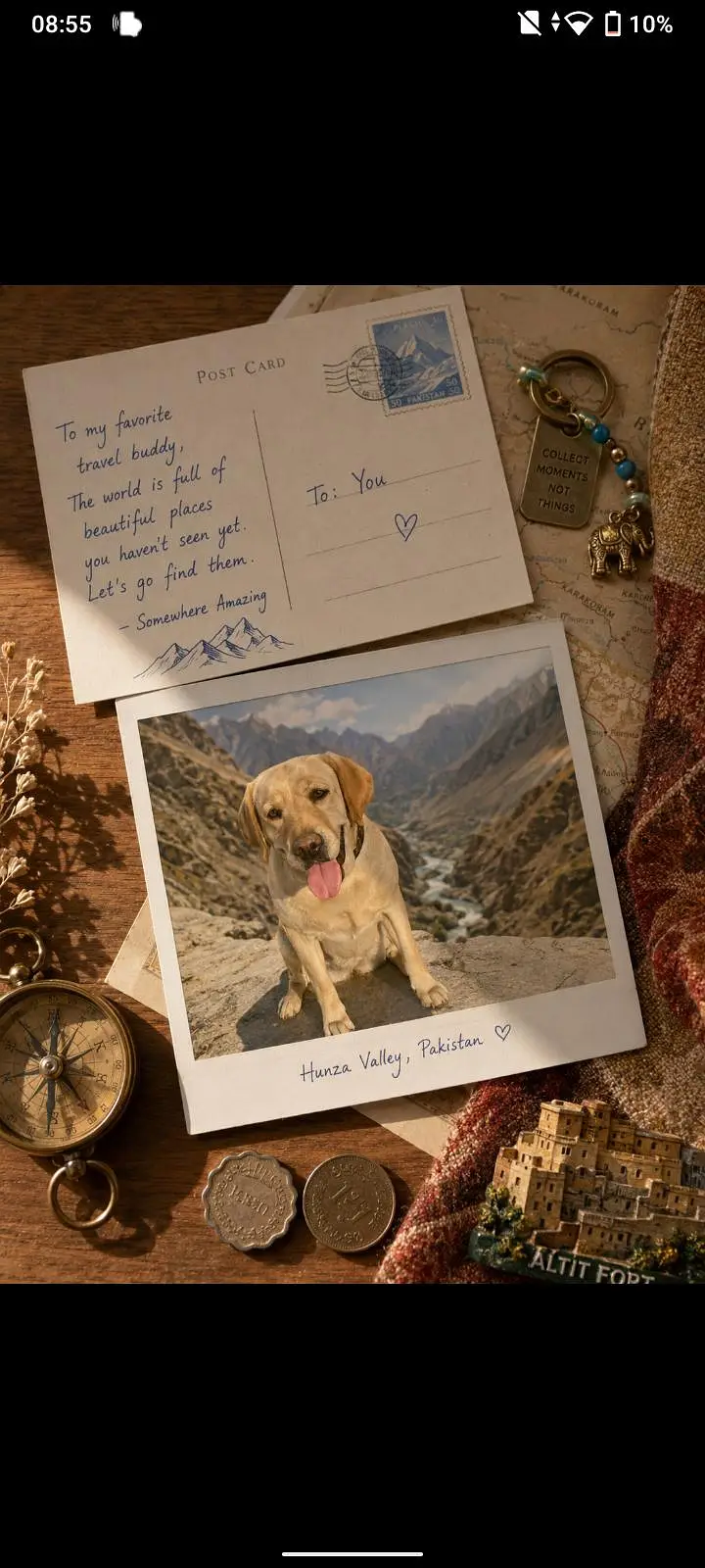 American Labrador — photo 2
