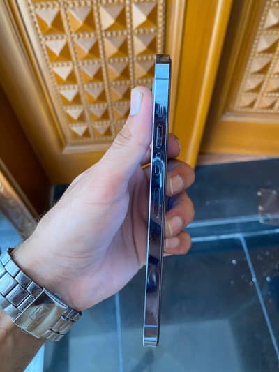 Apple iPhone 13 Pro Max pta 256