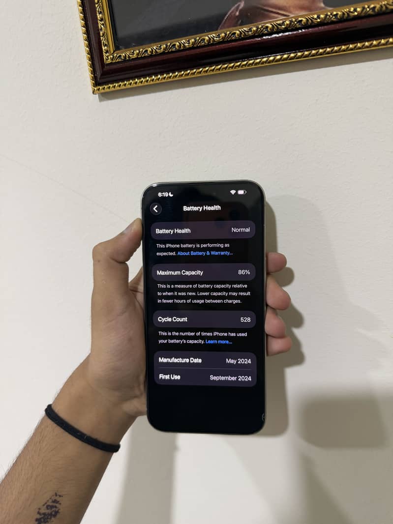 Apple iPhone 15 Pro Max 3