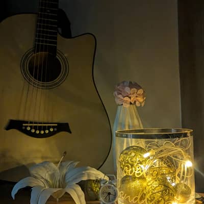 acoustic guitar