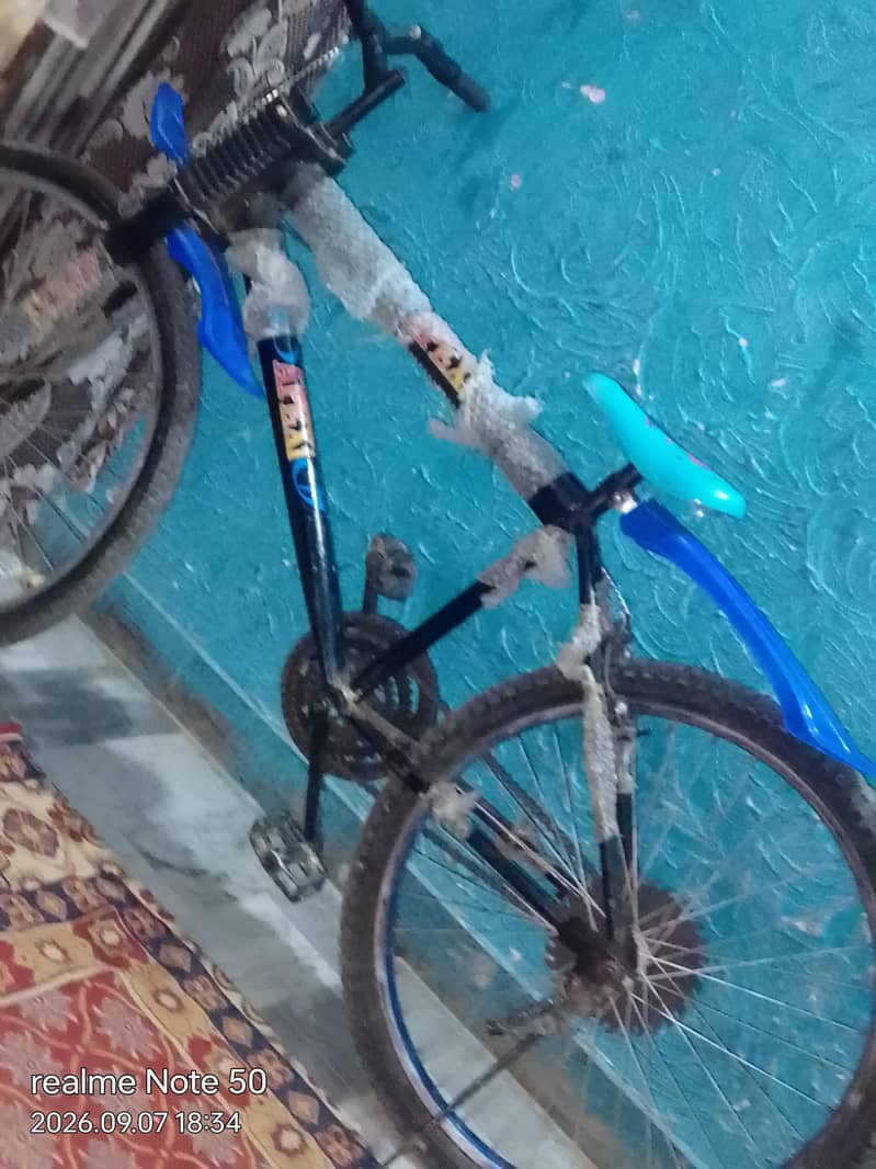 bicycle 2