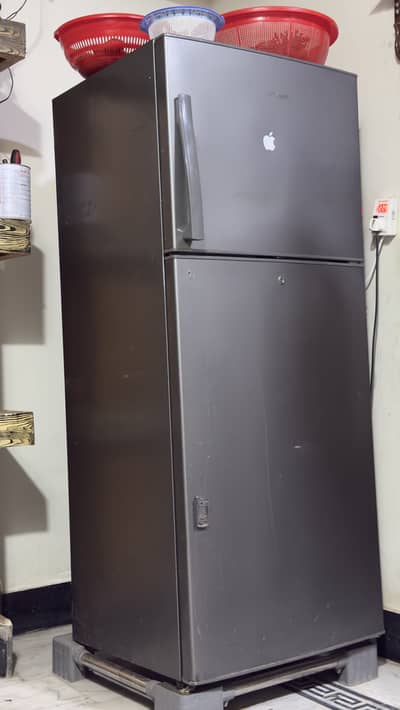 Sonashi Indoor Full Size Fridge