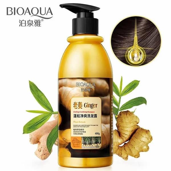 BioAqua Ginger Shampoo, 400g for Healthy Hair Care