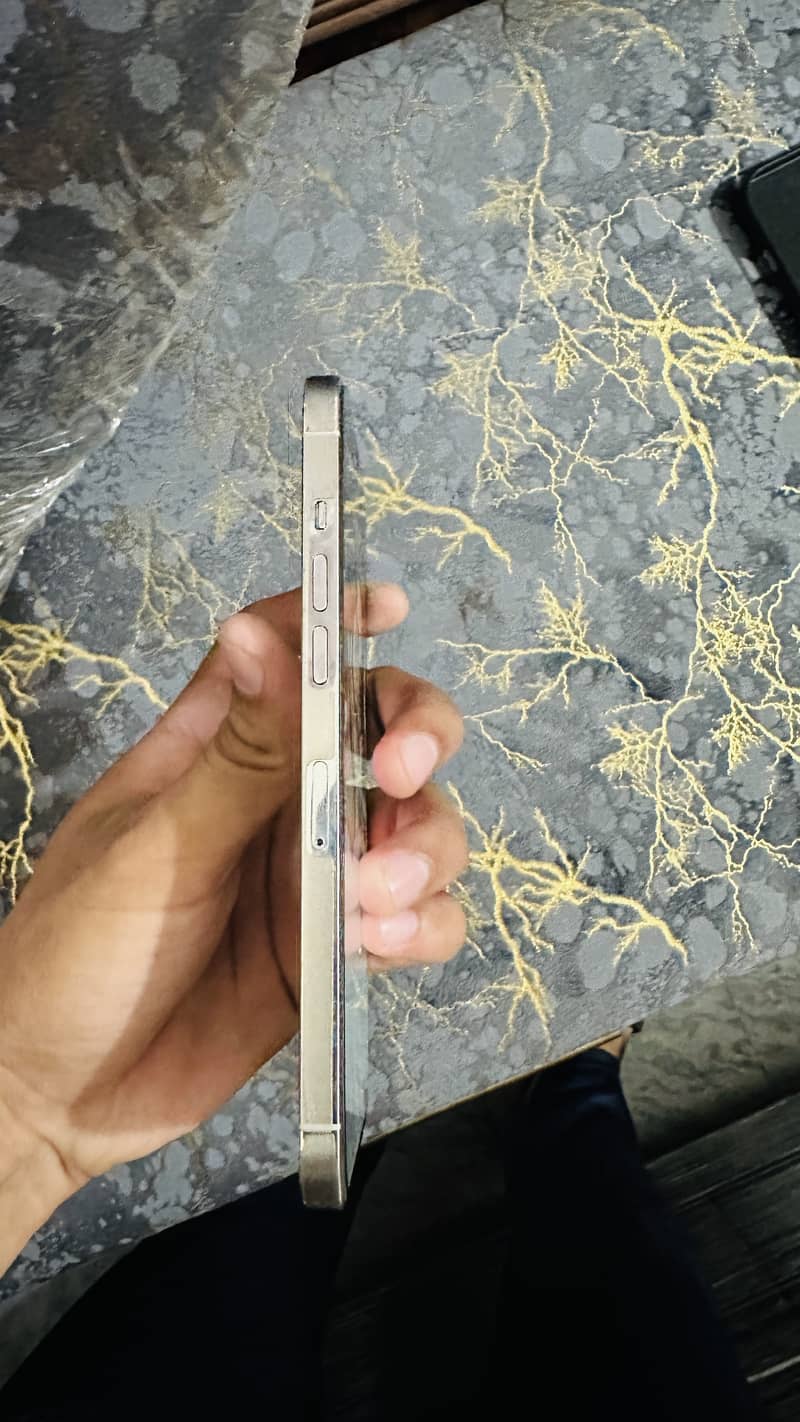 Apple iPhone 12 Pro Max 2