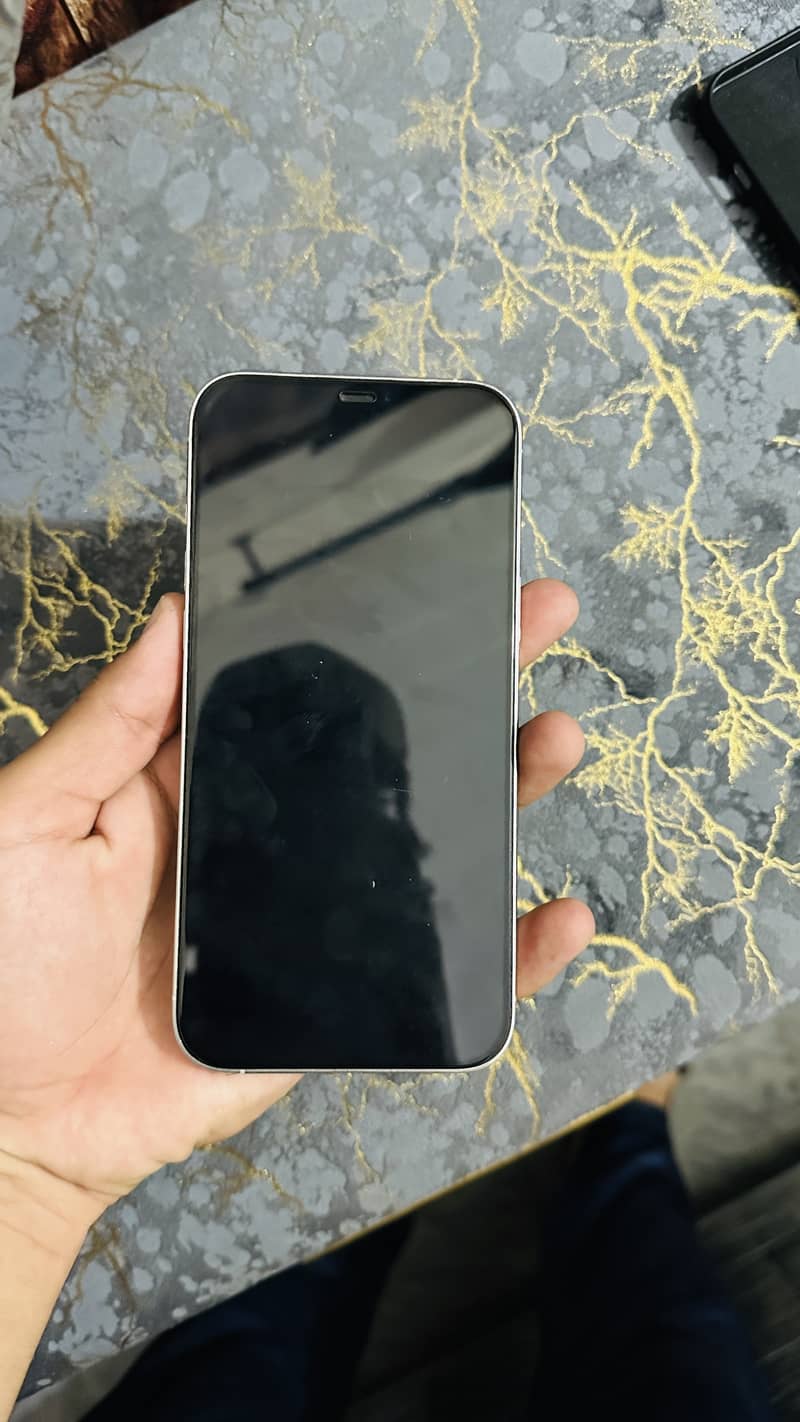 Apple iPhone 12 Pro Max 4